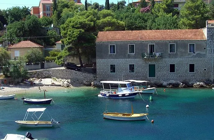 Lav プリグラディサ