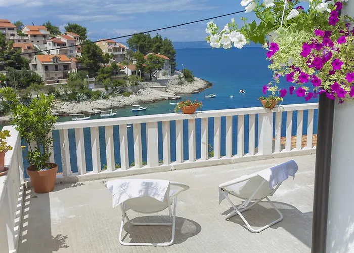 Lav * プリグラディサ